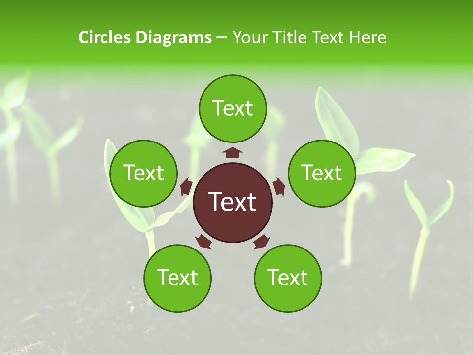 Seed Growth PowerPoint Template