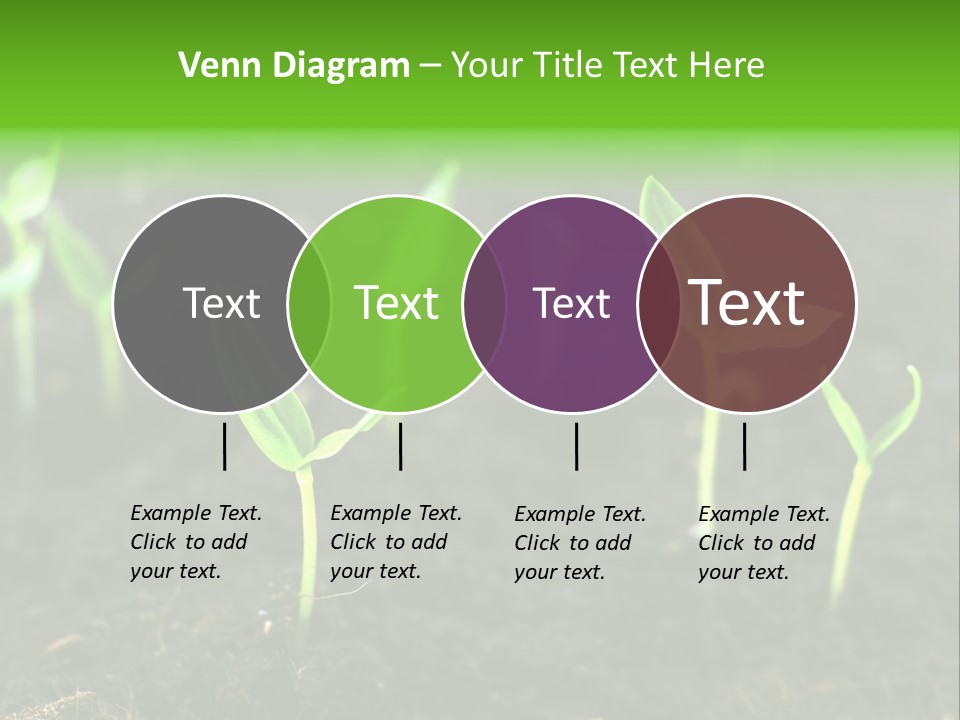 Seed Growth PowerPoint Template