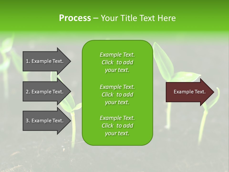 Seed Growth PowerPoint Template