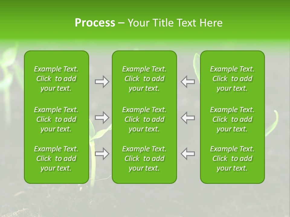 Seed Growth PowerPoint Template