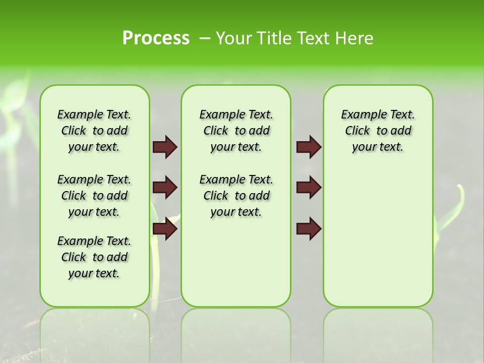 Seed Growth PowerPoint Template