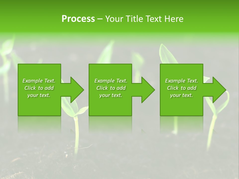 Seed Growth PowerPoint Template