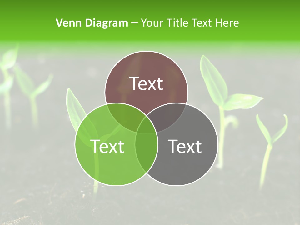 Seed Growth PowerPoint Template