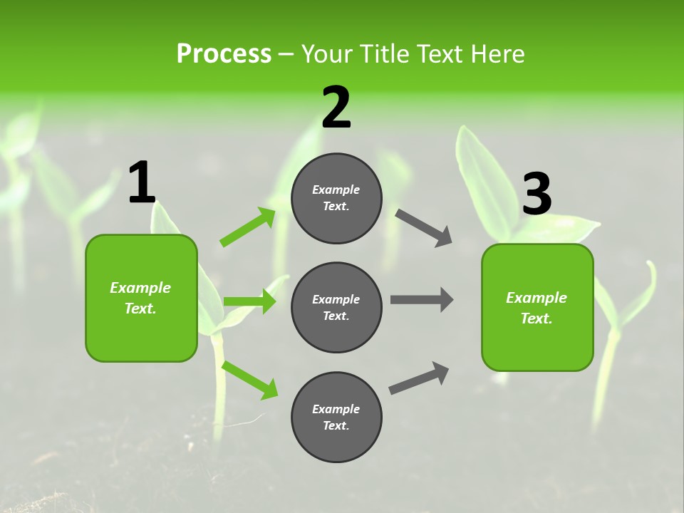 Seed Growth PowerPoint Template