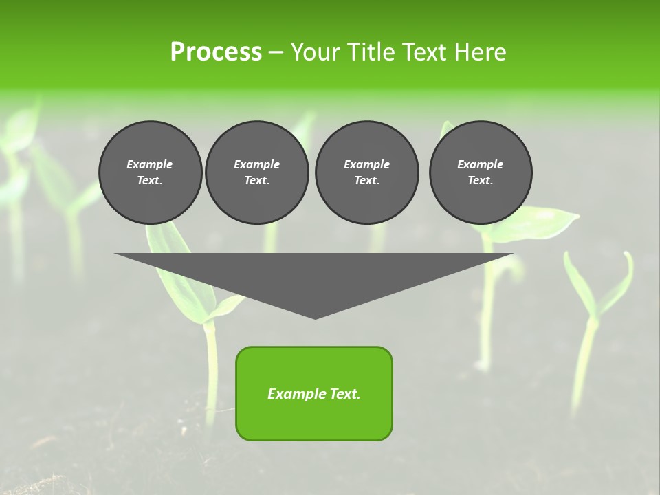 Seed Growth PowerPoint Template