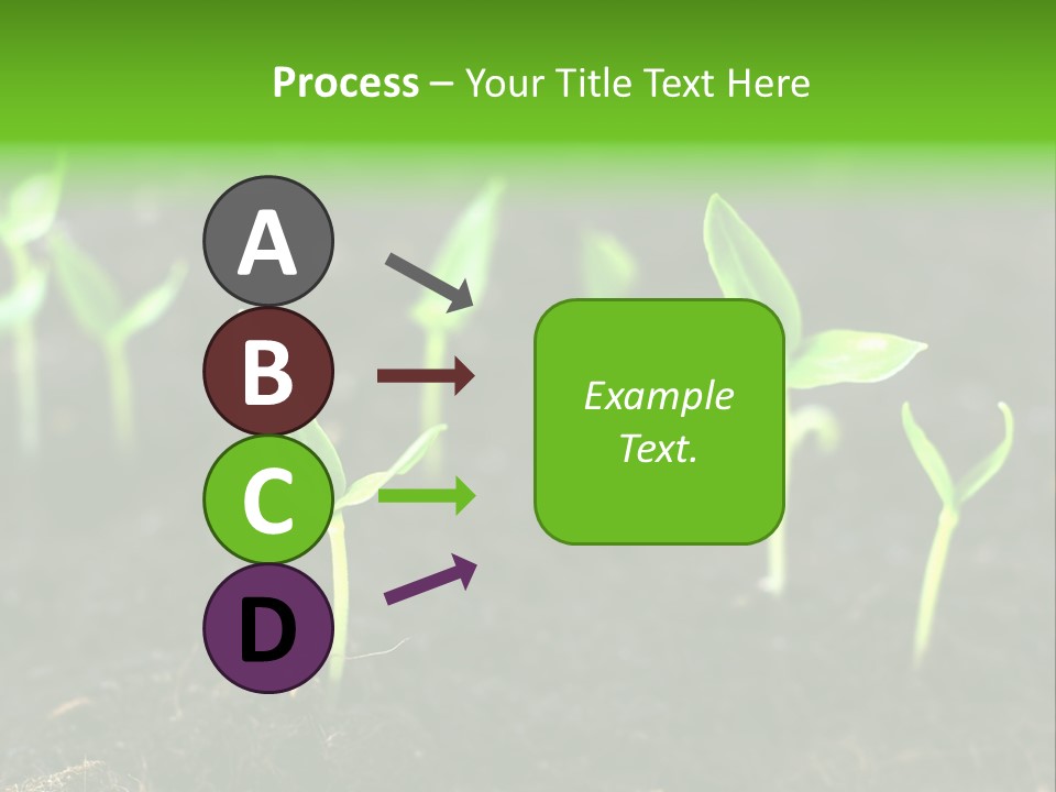 Seed Growth PowerPoint Template