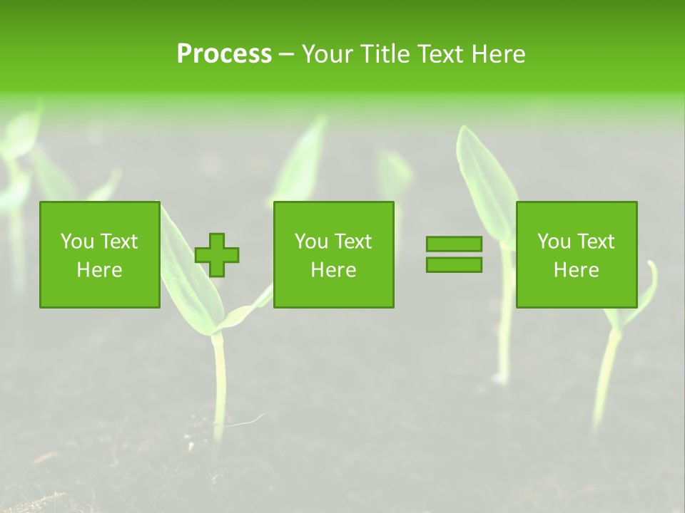 Seed Growth PowerPoint Template