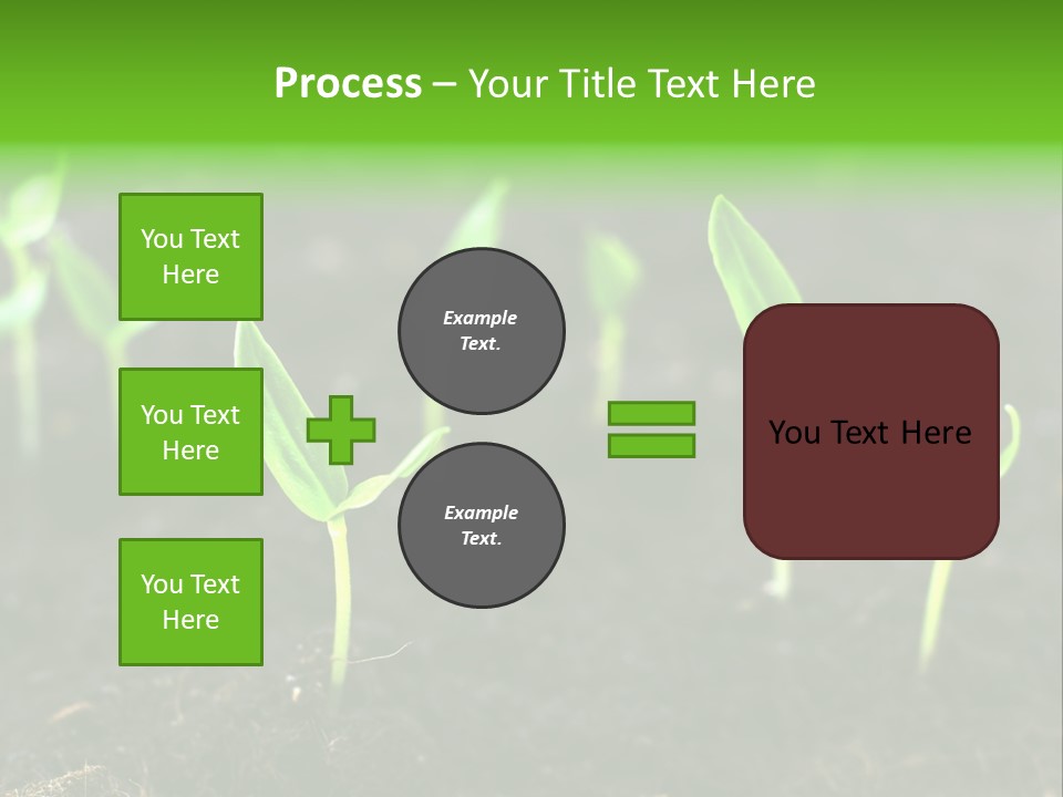 Seed Growth PowerPoint Template