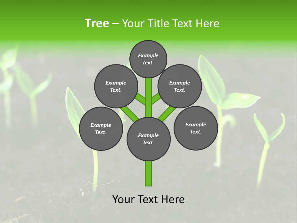 Seed Growth PowerPoint Template
