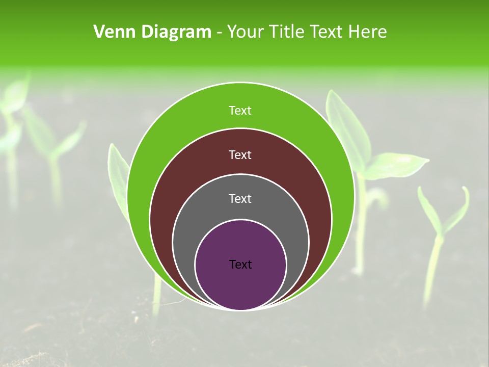Seed Growth PowerPoint Template