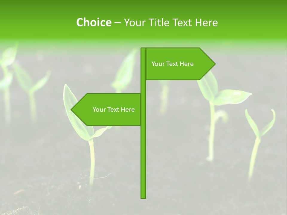 Seed Growth PowerPoint Template