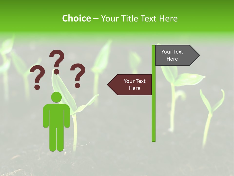 Seed Growth PowerPoint Template