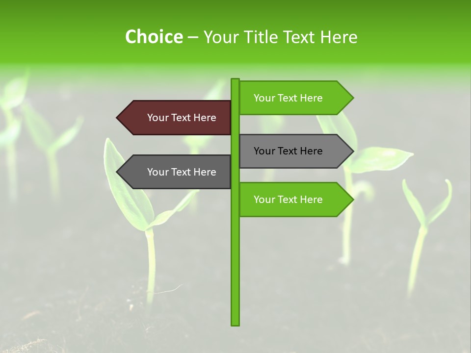 Seed Growth PowerPoint Template