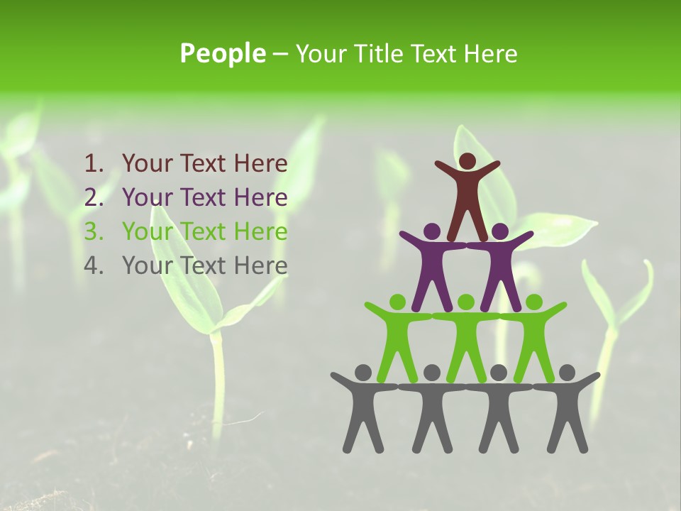Seed Growth PowerPoint Template