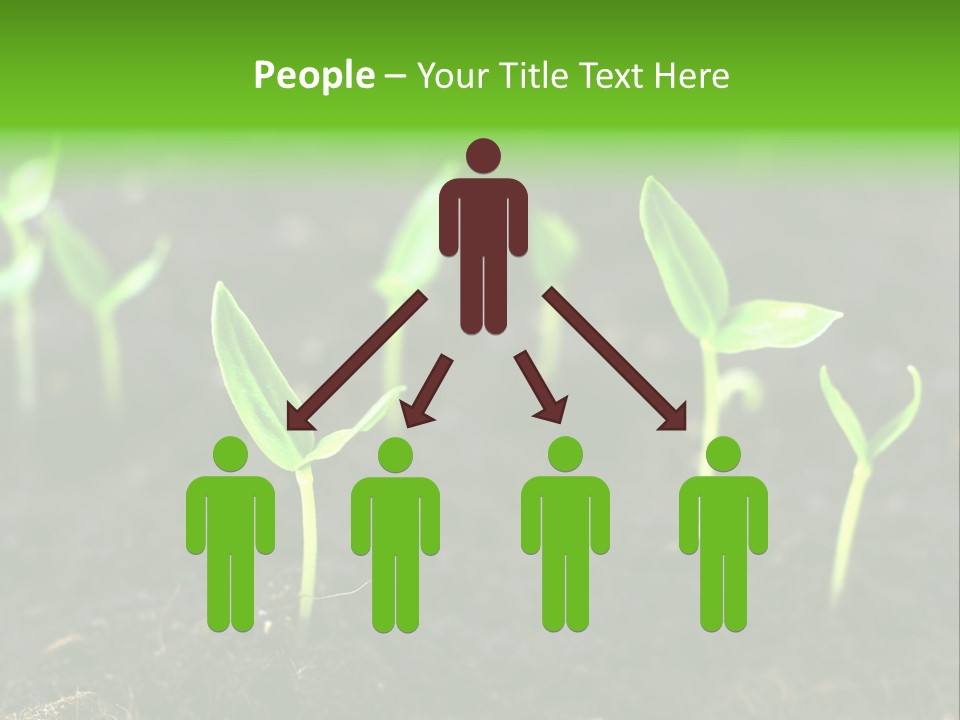 Seed Growth PowerPoint Template