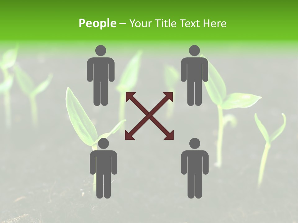 Seed Growth PowerPoint Template
