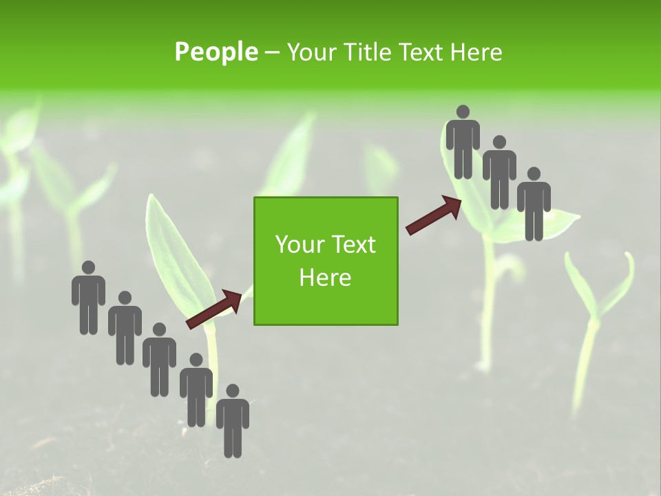 Seed Growth PowerPoint Template