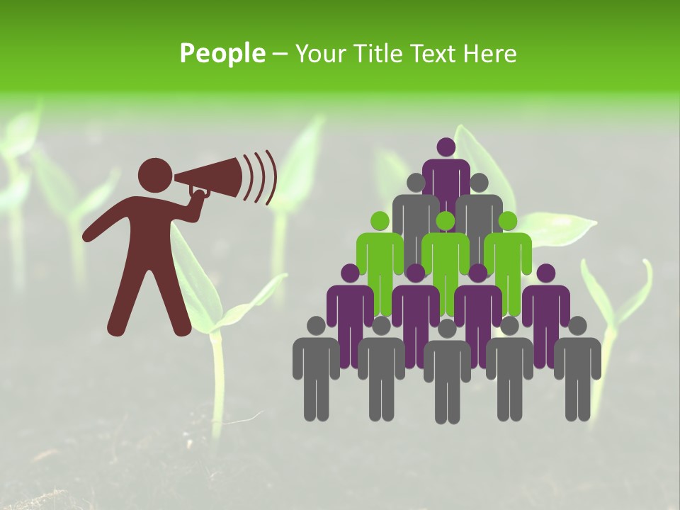 Seed Growth PowerPoint Template