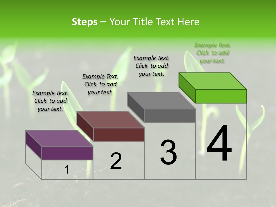 Seed Growth PowerPoint Template
