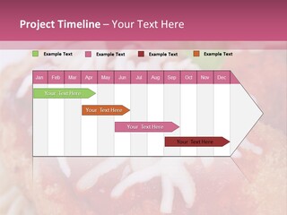 Meat In Batter PowerPoint Template