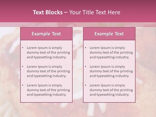 Meat In Batter PowerPoint Template