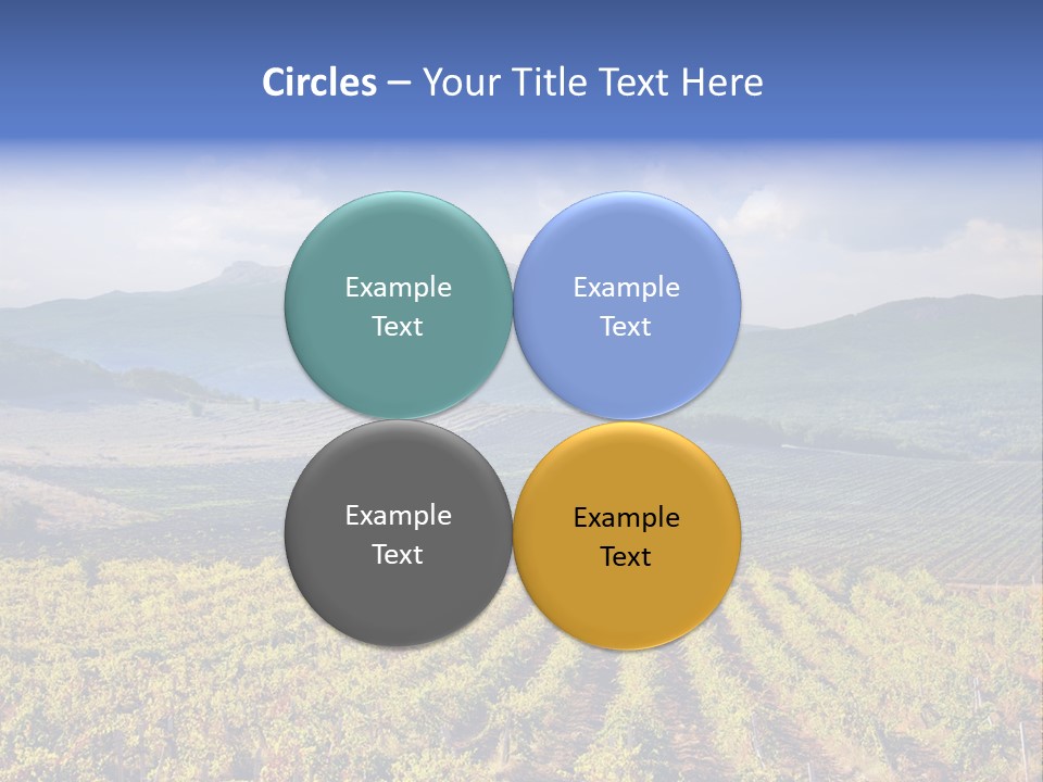 Flower Field PowerPoint Template