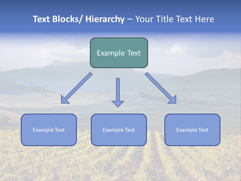 Flower Field PowerPoint Template