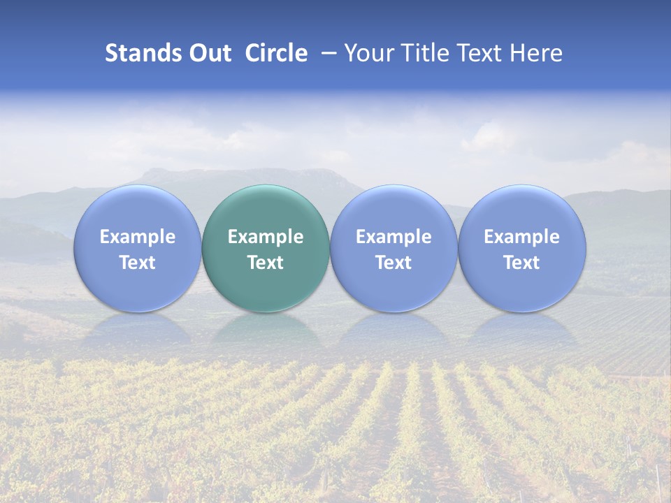 Flower Field PowerPoint Template