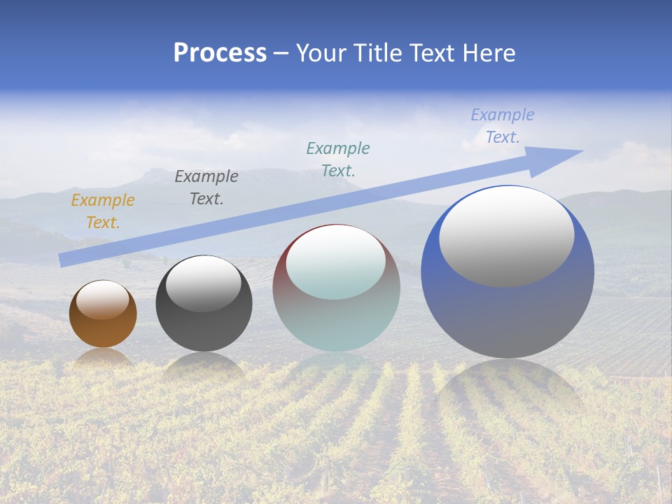 Flower Field PowerPoint Template