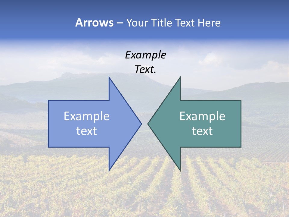 Flower Field PowerPoint Template