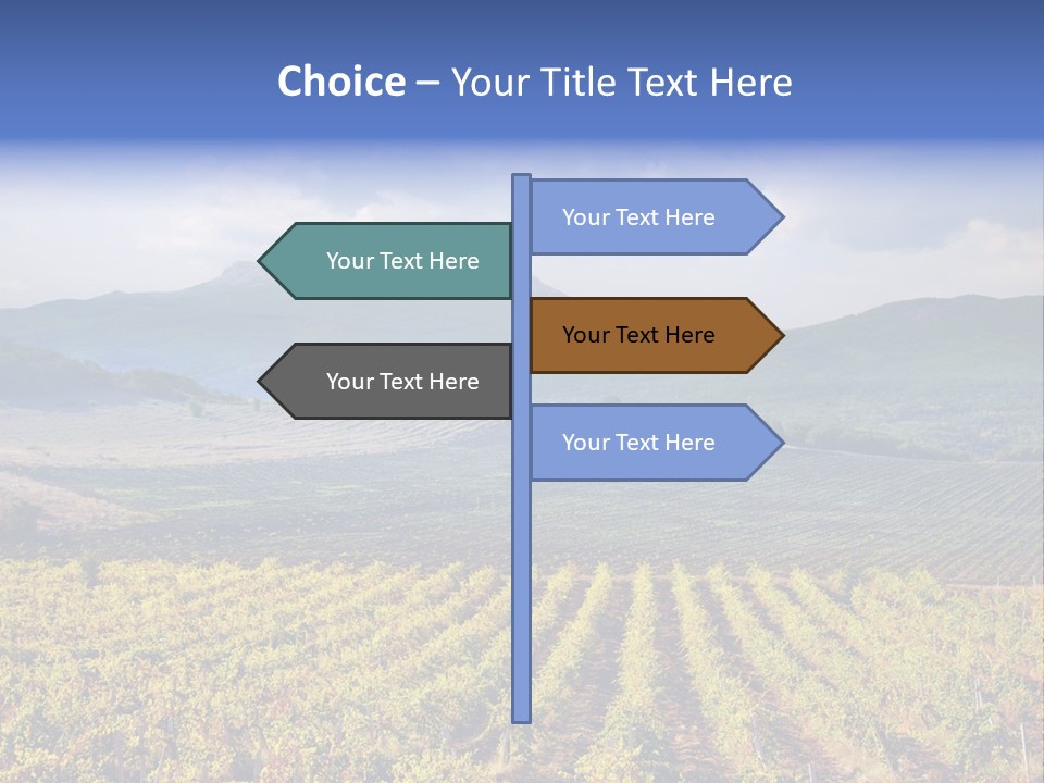 Flower Field PowerPoint Template