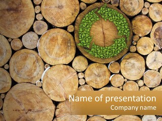 Firewood PowerPoint Template
