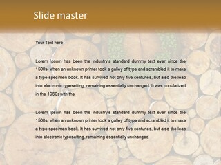 Firewood PowerPoint Template