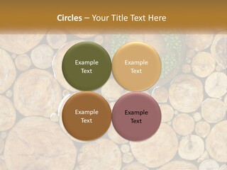 Firewood PowerPoint Template