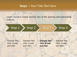 Firewood PowerPoint Template