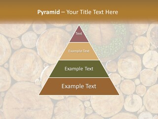 Firewood PowerPoint Template