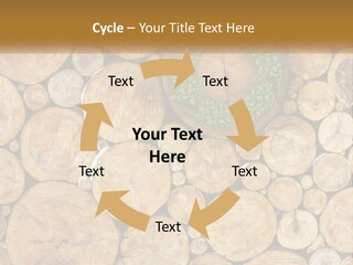 Firewood PowerPoint Template