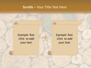 Firewood PowerPoint Template