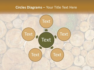 Firewood PowerPoint Template