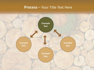 Firewood PowerPoint Template