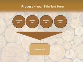 Firewood PowerPoint Template