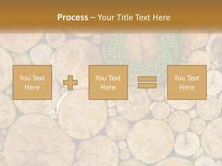Firewood PowerPoint Template