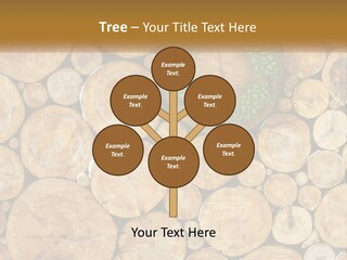 Firewood PowerPoint Template