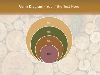 Firewood PowerPoint Template