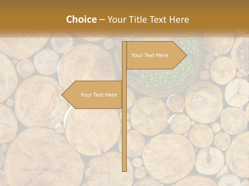 Firewood PowerPoint Template