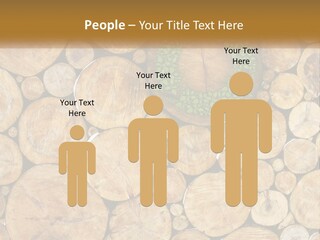 Firewood PowerPoint Template