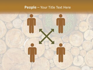 Firewood PowerPoint Template