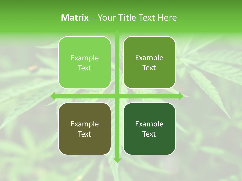 Hemp PowerPoint Template