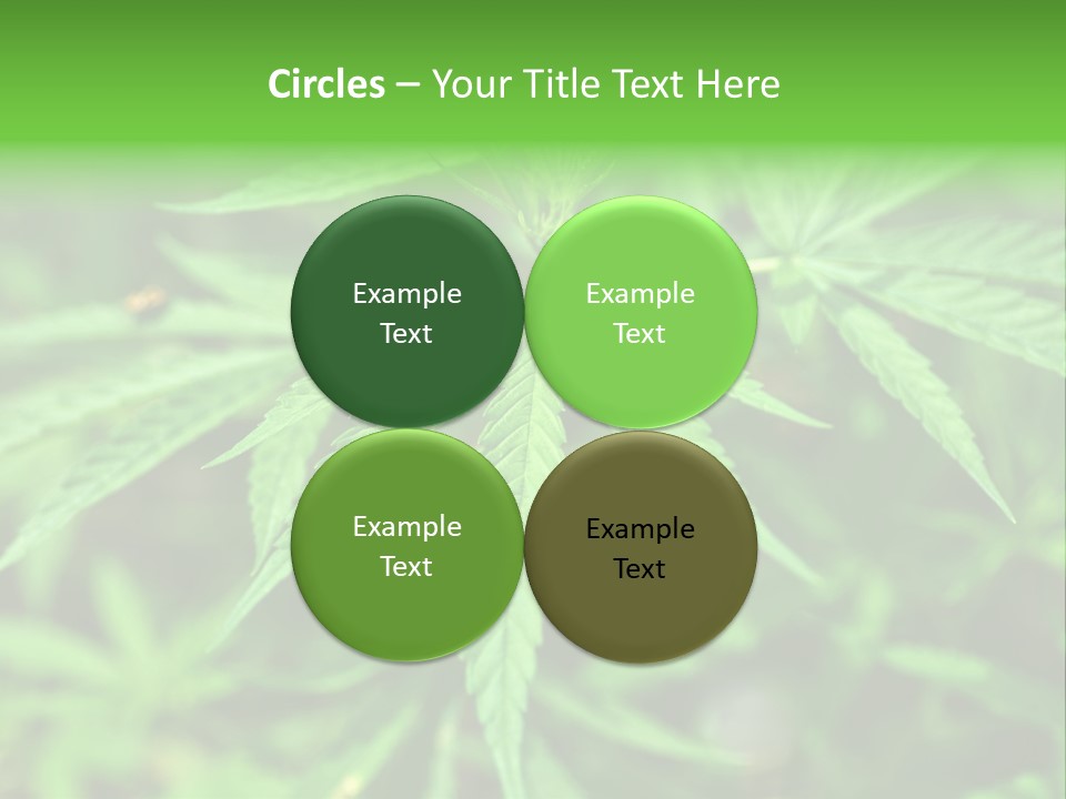 Hemp PowerPoint Template