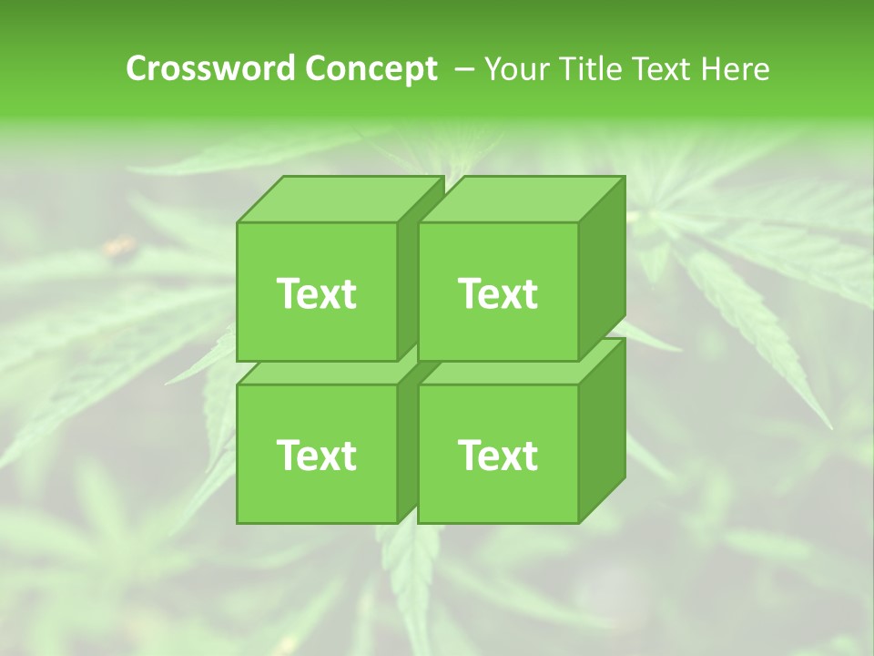 Hemp PowerPoint Template